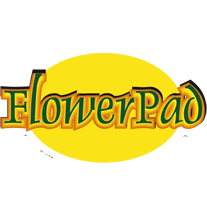 FlowerPad - Der Nässeschutz für Ihre Pflanzen